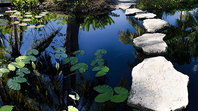 <p>Retirement planning: Making the most of your retirement milestones</p>